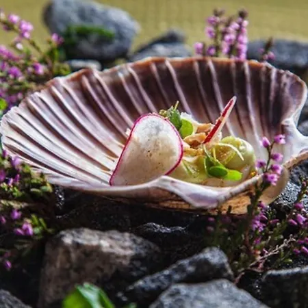 Rosfjord Strandhotel 4* لينغدال