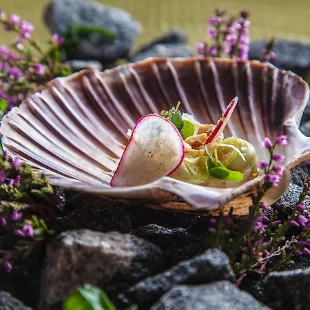 Hotel Rosfjord Strandhotel Lyngdal